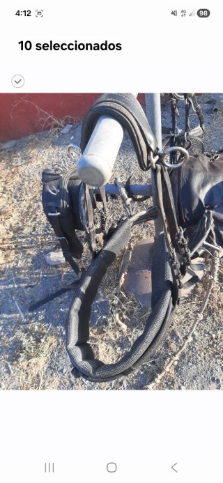 Arnes para caballo