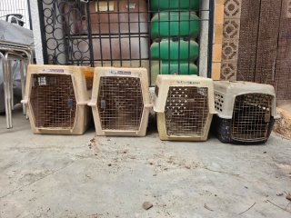 Transportín para perros Vari Kennel