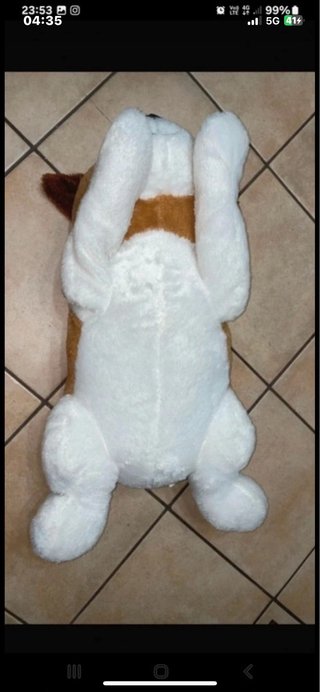 Peluche San Bernardo Gigante 80cm