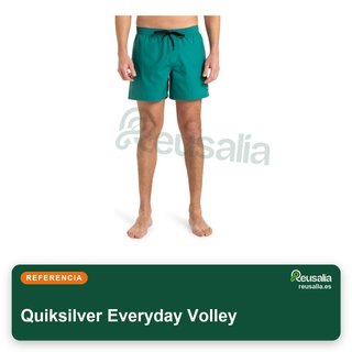 Quiksilver Everyday Volley mochila 15" hombre