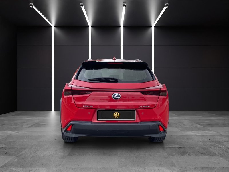 Lexus UX 250h BUSINESS 2020, foto 14