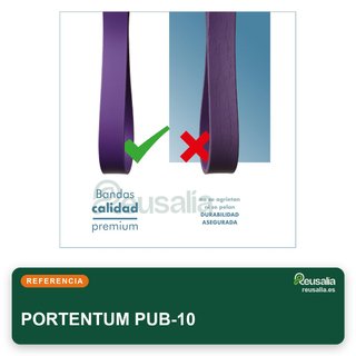 PORTENTUM bandas resistencia 4 niveles intensidad