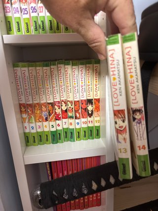 Coleccion completa manga Love Hina