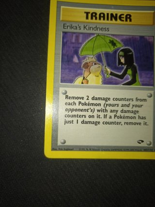 Erika's Kindness Gym Challenge Pokémon