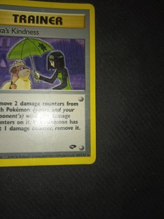 Erika's Kindness Gym Challenge Pokémon
