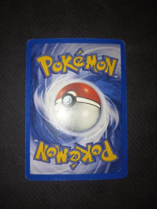 Erika's Kindness Gym Challenge Pokémon