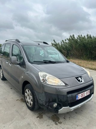 Peugeot Partner 2010