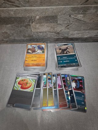 Lotto Carte Pokemon