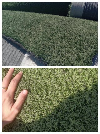 Césped artificial reciclado