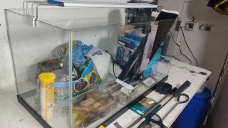 Acuario 60L completo con accesorios