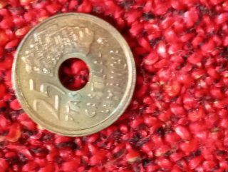 25 Pesetas Moneta