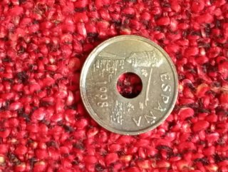 25 Pesetas Moneta
