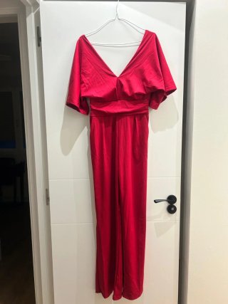 Mono rojo elegante