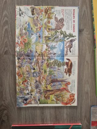 Lote de libros infantiles y de crianza
