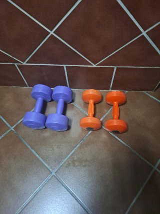 Pesas 2kg y 4kg Profesionales