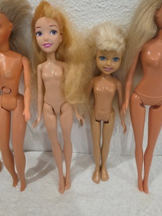 Lote 5 Muñecas Estilo Barbie