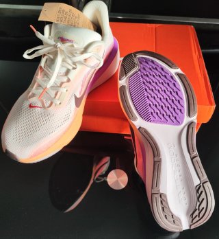 Nike Pegasus 42 Zapatillas Running Mujer