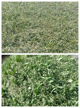 Césped artificial reciclado