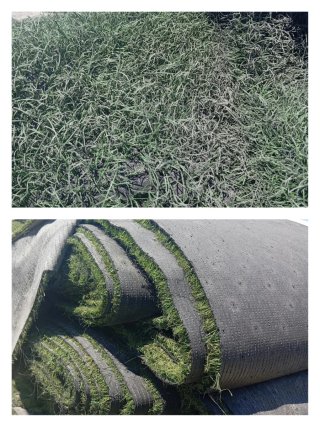 Césped artificial reciclado