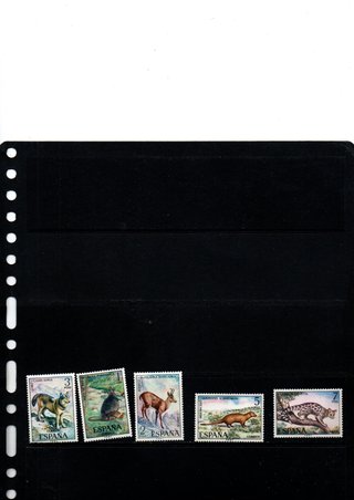 5 francobolli Spagna Fauna 1972 Nuovi