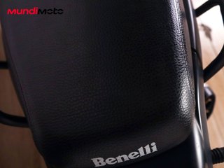 BENELLI LEONCINO 500
