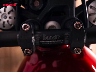 BENELLI LEONCINO 500