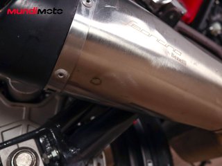 BENELLI LEONCINO 500