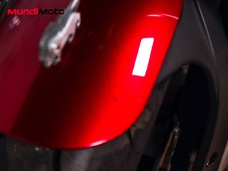 BENELLI LEONCINO 500