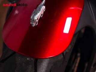 BENELLI LEONCINO 500