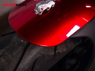 BENELLI LEONCINO 500