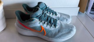 Nike Pegasus 39 Gris Naranja