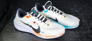 Nike Air Zoom Pegasus 40 Multicolor