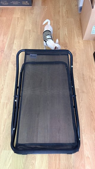 Cama Plegable Perro Negra