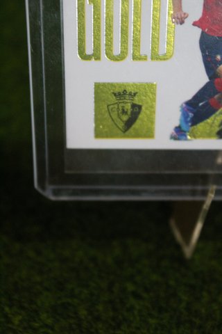 Panini Extra Gold Budimir 2025