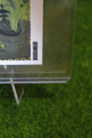 Panini Extra Gold Budimir 2025