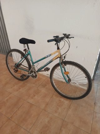 Bicicleta de montaña