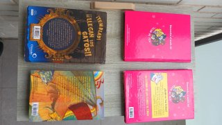 Lote de libros de Geronimo Stilton