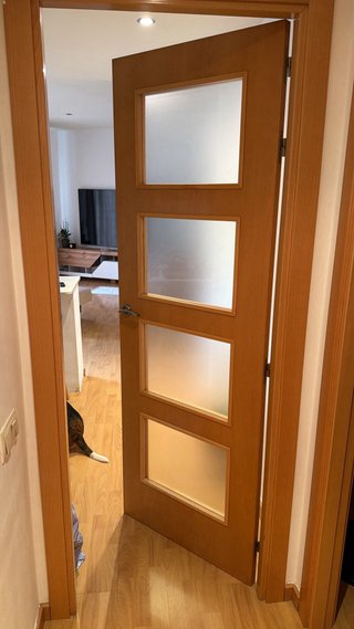 Puerta madera maciza