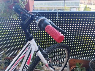 Bicicleta infantil 24 Freerider
