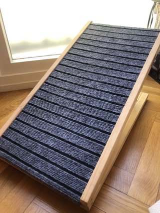 Rampa para mascota plegable