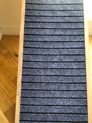 Rampa para mascota plegable