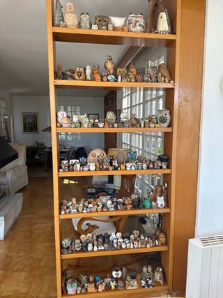 Colección de más de 250 búhos