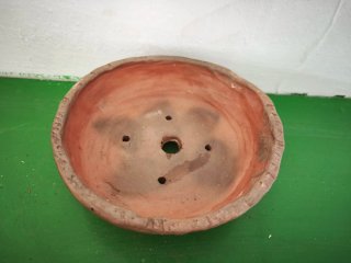 Maceta de terracota para bonsái