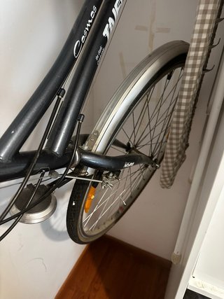 Bicicleta de paseo