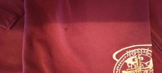 Sudadera t.12 fefcoll dominicas