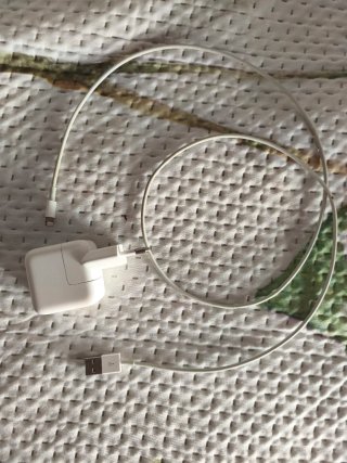 iPad 5ª Gen 32GB Plata + Funda, cargador y cable