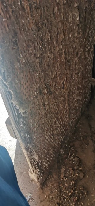 Trillas de madera antiguas Precio por las 3