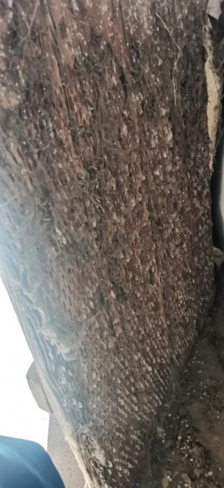 Trillas de madera antiguas Precio por las 3