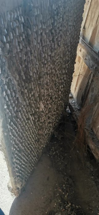 Trillas de madera antiguas Precio por las 3