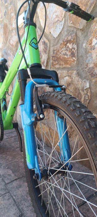 Bicicleta infantil Megamo 20' verde